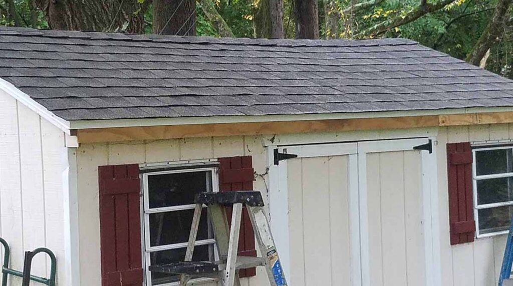 new replace shed roof 